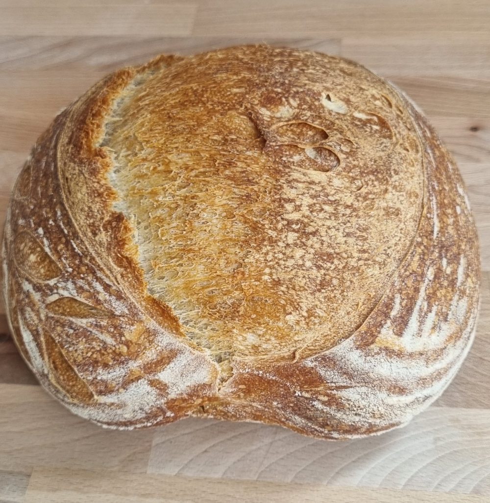 Zuurdesem classic — zuurdesem uit de microbakkerij in Zutphen